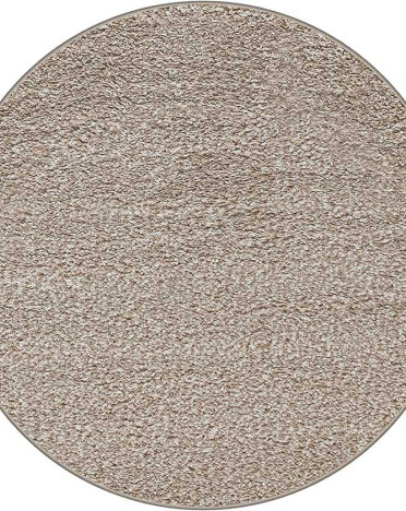 SHK DAIRE 3 Шагги круг