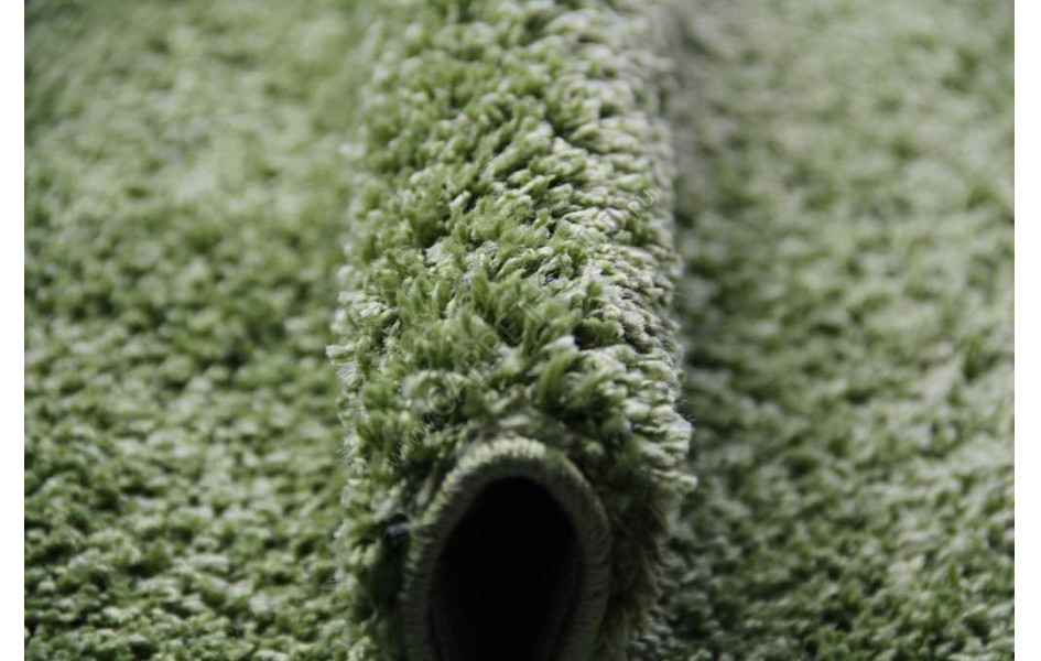 SH STAN 6 Шагги